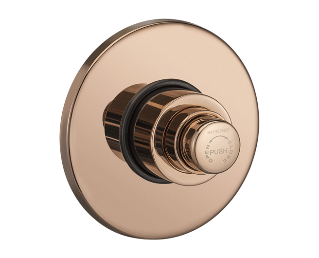 Concealed Body Flush Valve